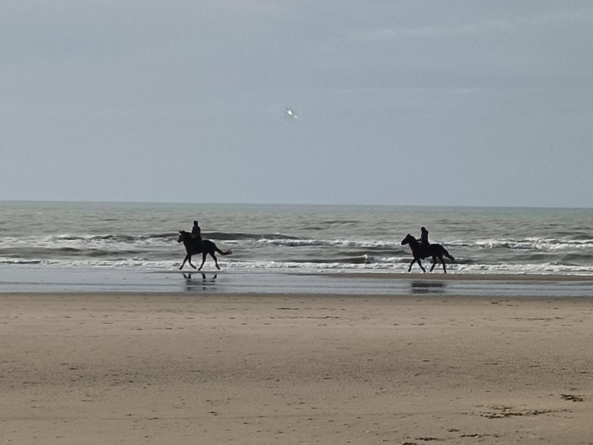 Gite Dans Le Pre Hesdin L'Abbe Carly المظهر الخارجي الصورة